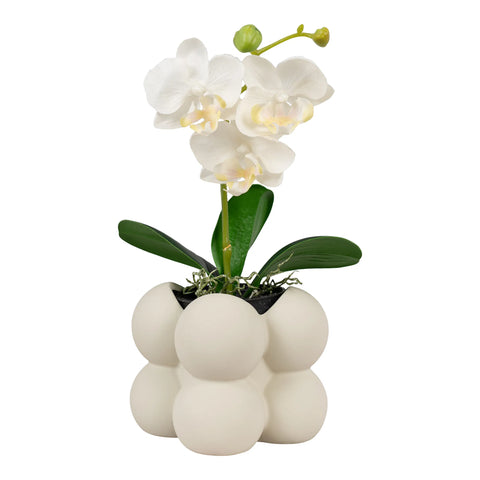 Malee hanging plant pot