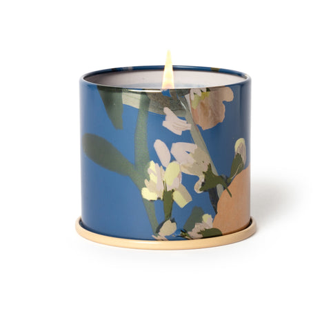 Cozy Nectarine Candle