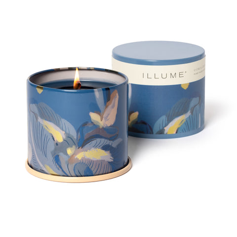 Cozy Nectarine Candle