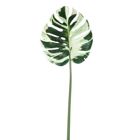 Fleur Monstera Artificielle