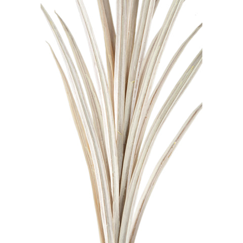 Tige de Yucca Artificielle