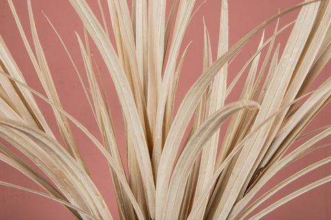 Tige de Yucca Artificielle