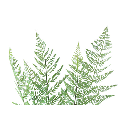 Feuille Artificielle Fougère