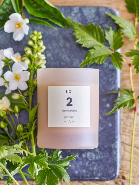 Candle NO. 1 – Parsley Lime