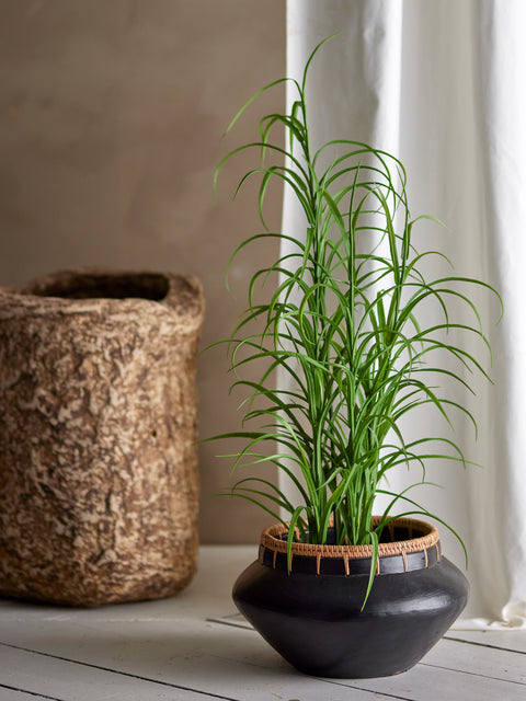 Grass Plante Artificielle