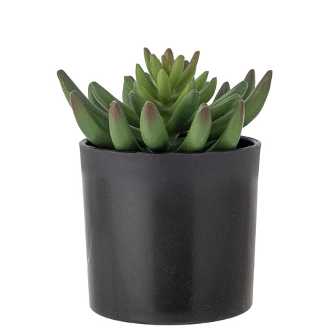 Plante Artificielle Echeveria