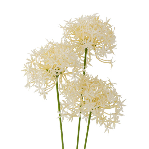 Tige Artificielle Allium Blanche