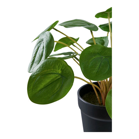 Plante Artificielle Pélia Verte