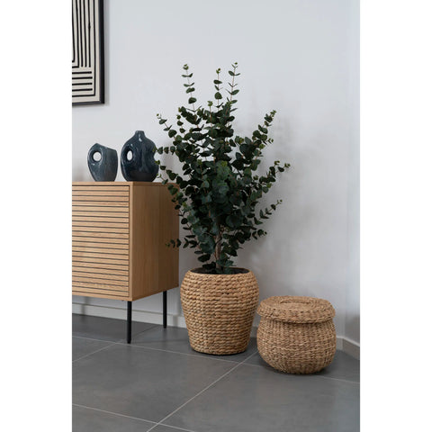 Eucalyptus Plante artificielle