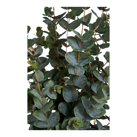 Eucalyptus Plante artificielle