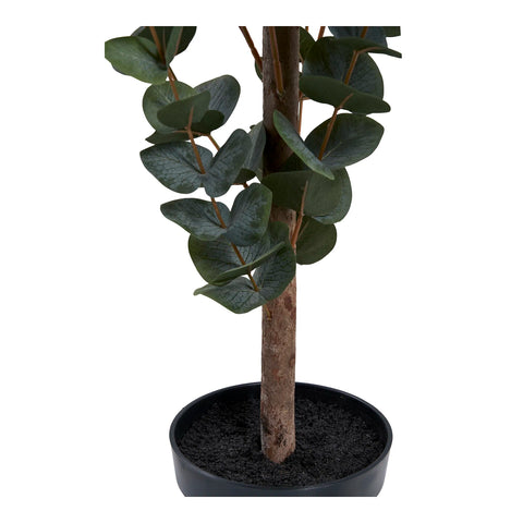 Eucalyptus Plante artificielle