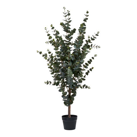 Eucalyptus Plante artificielle