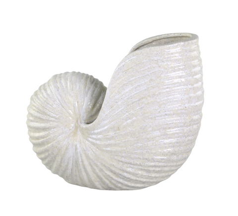 Vase en Forme de Coquillage