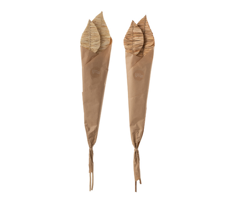 Feuilles de maïs