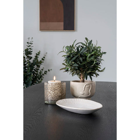 Malee hanging plant pot