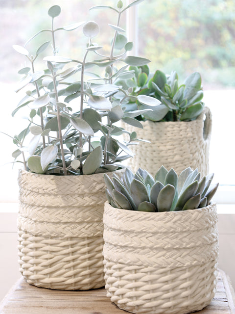 Malee hanging plant pot