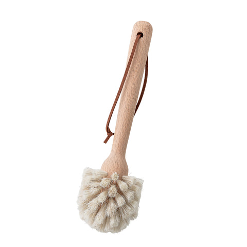 Beech Brush