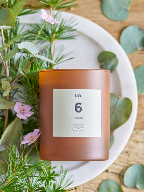 Bougie parfumée SEQUOIA