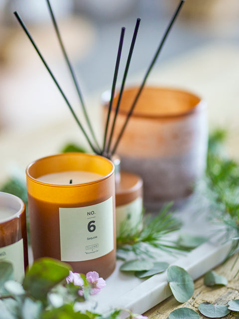 Bougie parfumée SEQUOIA