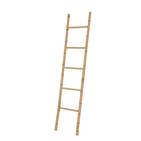 Teak ladder