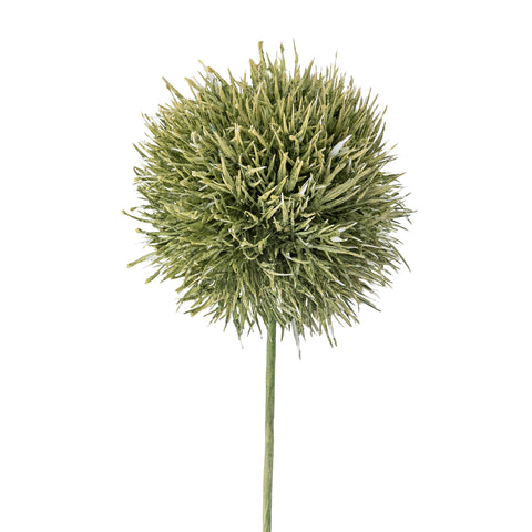 Allium Fleur