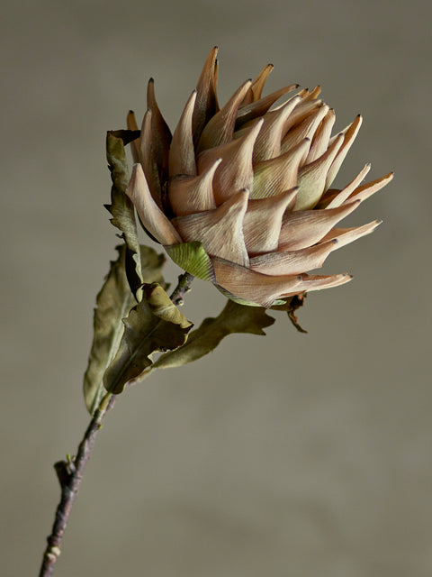 Hare Tail Bouquet