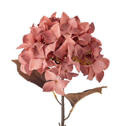 Branche Hydrangea