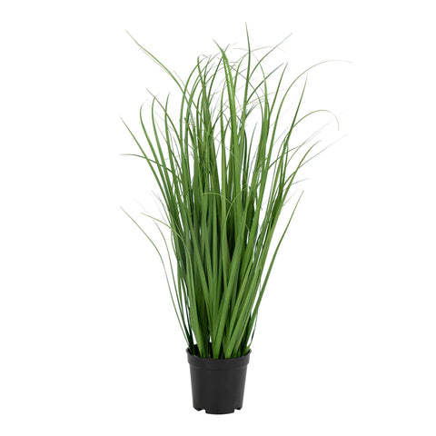 Herbe Poa Artificiel Vert