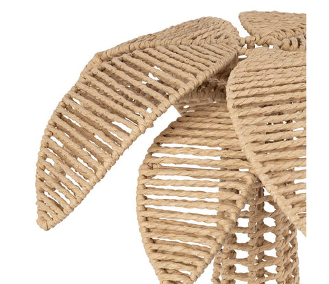 Palmier Palma Médium