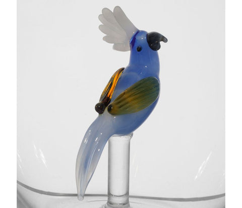 Verre Perroquet Bleu