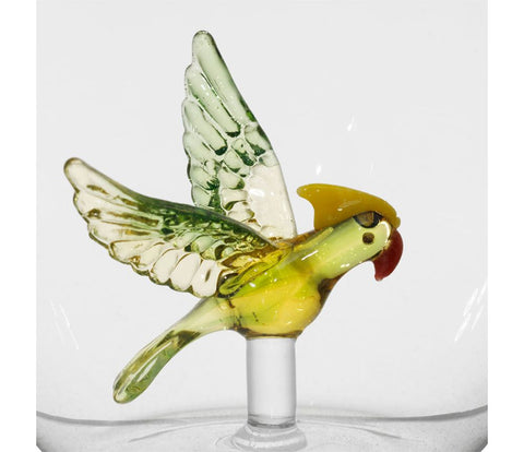 Verre Perroquet Vert