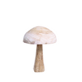 Champignon Léon