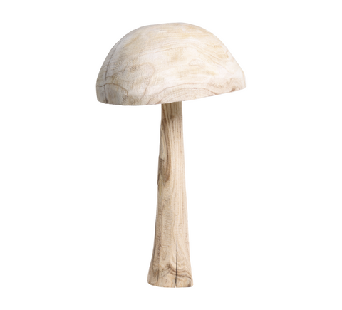 Champignon Afon