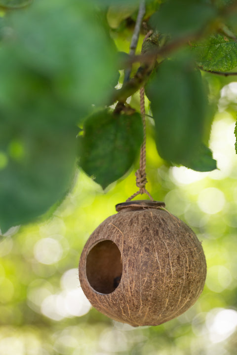 Coconut birdhouse