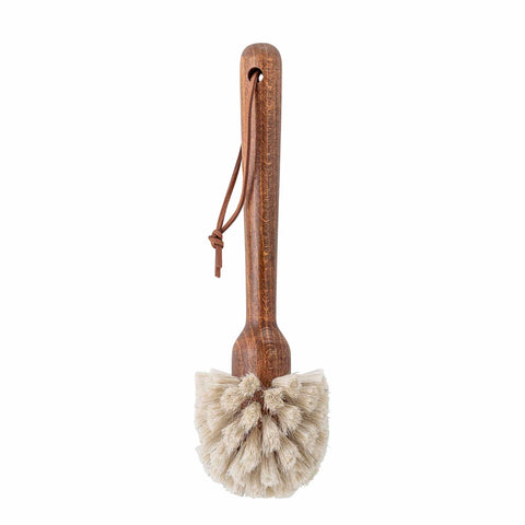 Brosse Hêtre