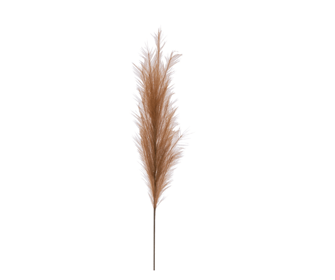 Plume Pampas Gia