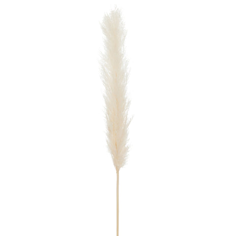 White Pampas Branch