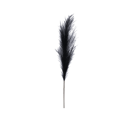 Black Feather