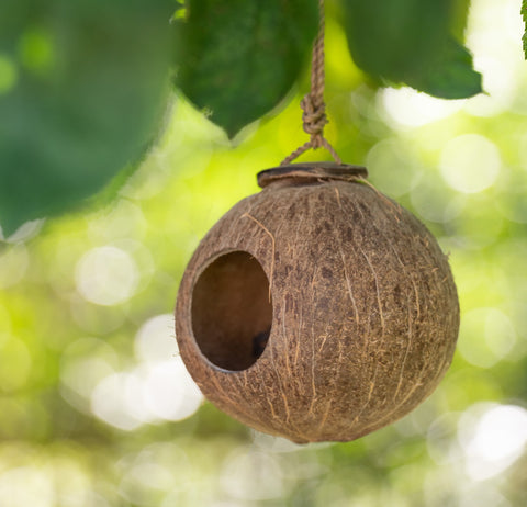 Coconut birdhouse