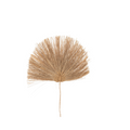 Feuille Ada