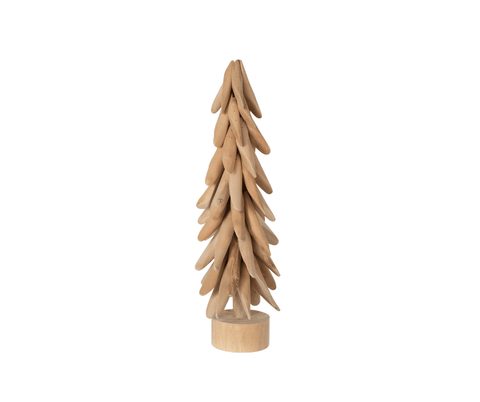 Nordmann Fir